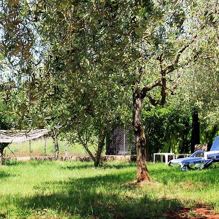 Oliven Garden Rovinj Exterior foto