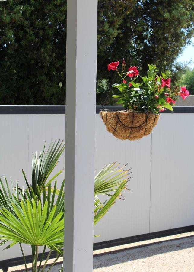 Oliven Garden Rovinj Exterior foto