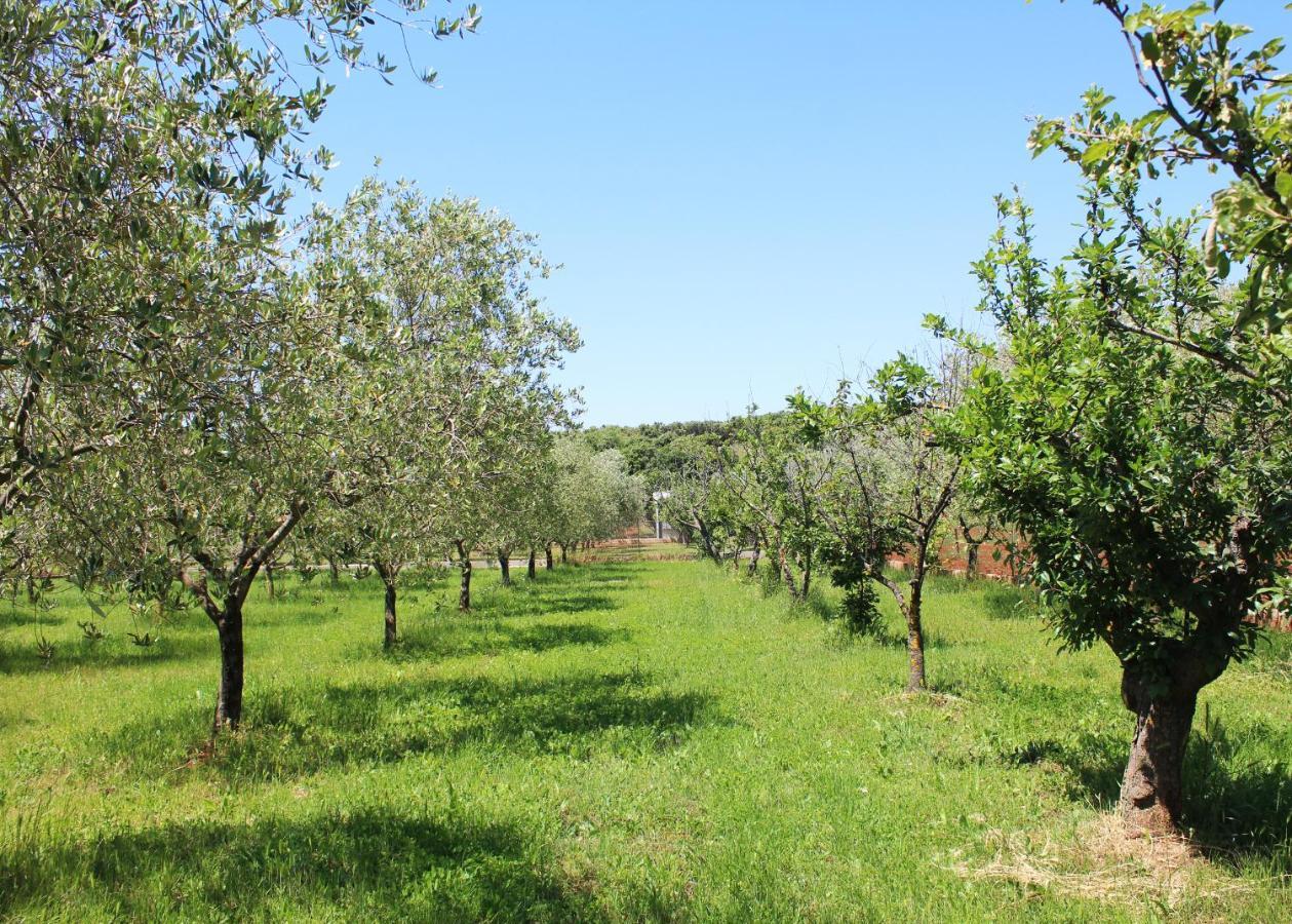 Oliven Garden Rovinj Exterior foto