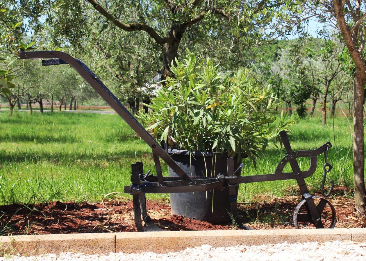 Oliven Garden Rovinj Exterior foto